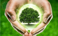 «Сохраним жизнь деревьям»
